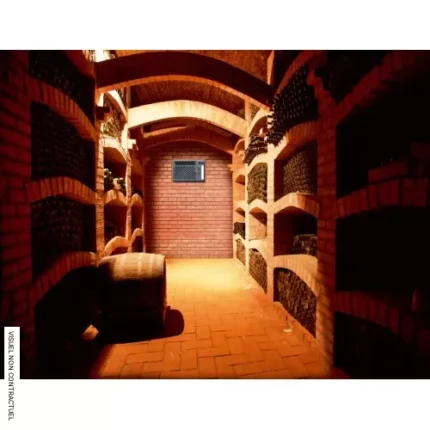 Climatiseur encastré réversible pour cave à vin Wine C50 SRX